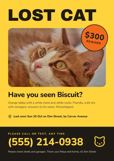 Lost cat poster
