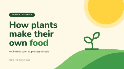 Photosynthesis lesson