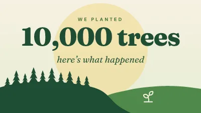 Ten thousand trees